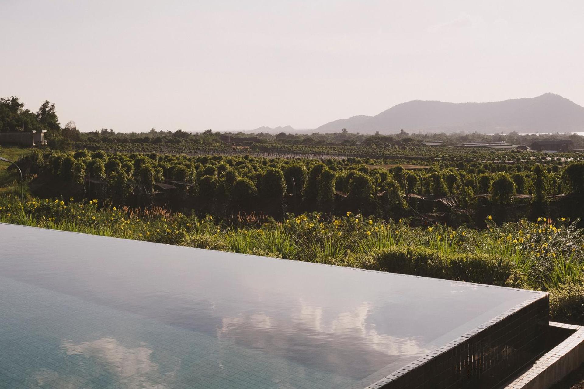 Villa La Plantation Kampot Bagian luar foto