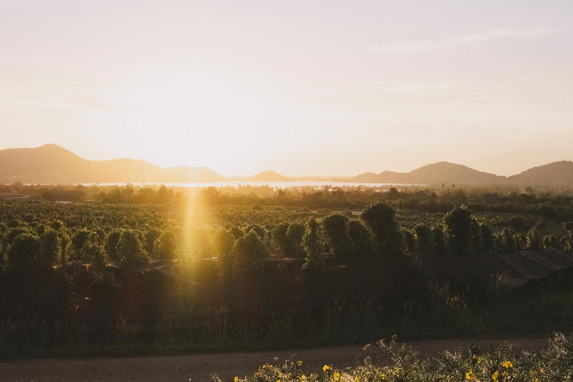 Villa La Plantation Kampot Bagian luar foto